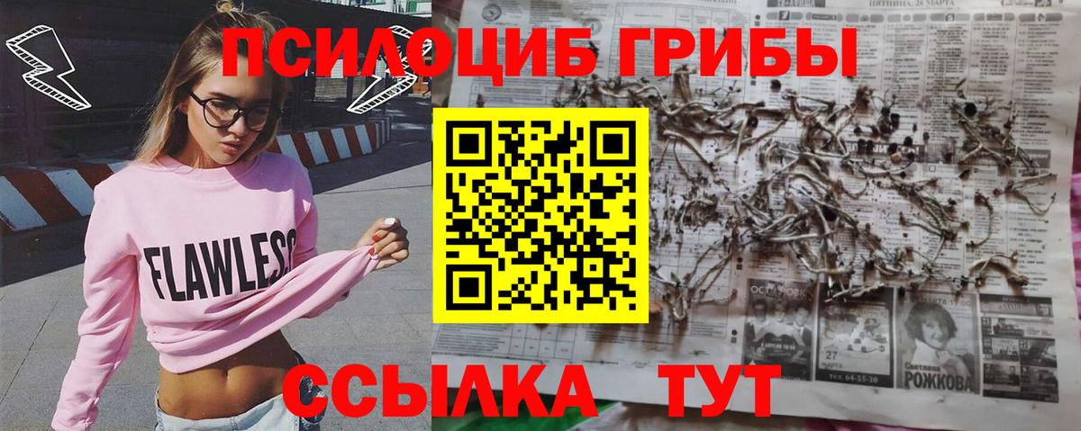 Галлюциногенные грибы Magic Shrooms  Галлюциногенные грибы прущие грибы  Усть-Илимск  Вход с VPN 